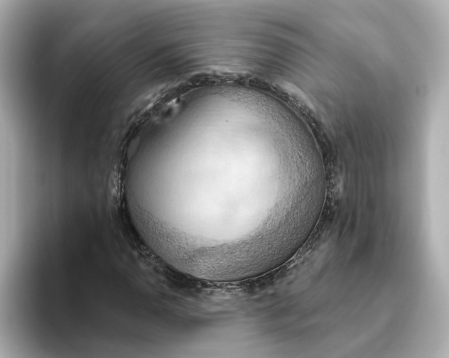 X0000093521110200711021041