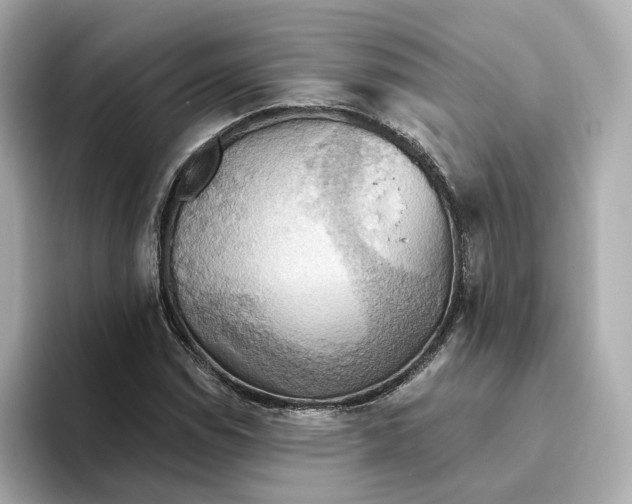 X0000093521114200711021041