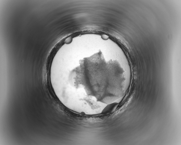 X0000093521117200711021041