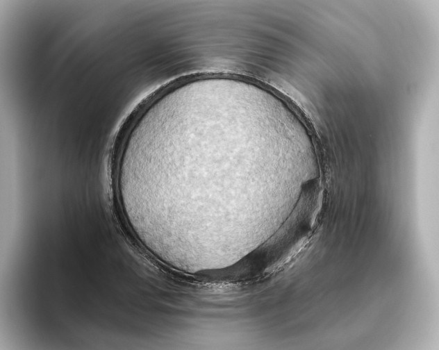 X0000093521120200711021041