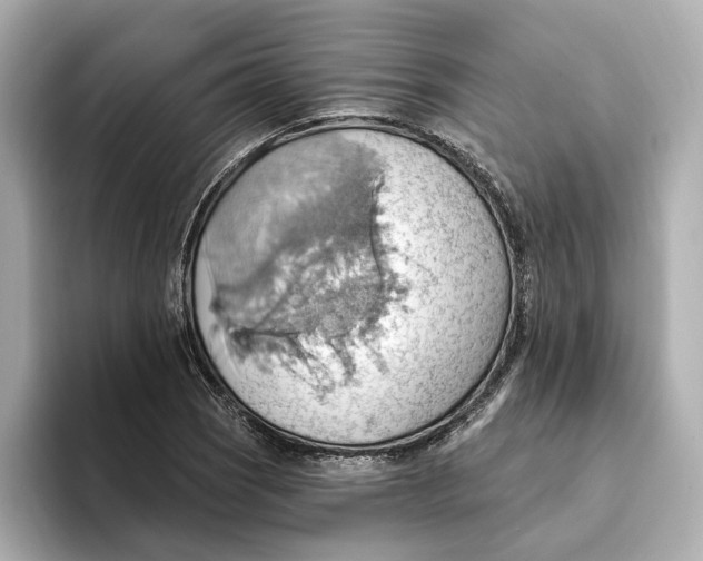 X0000093521121200711021041