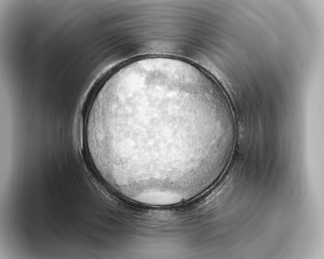 X0000093521123200711021041