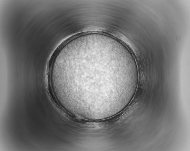 X0000093521124200711021041