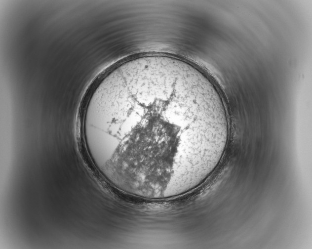 X0000093521125200711021041