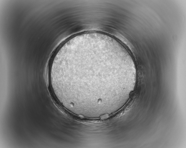 X0000093521127200711021041