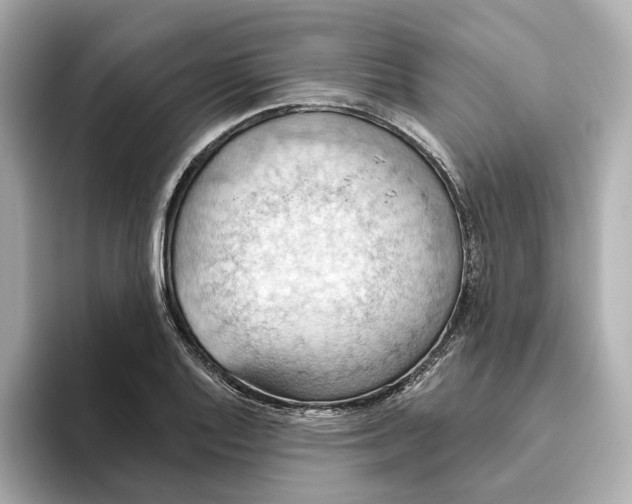 X0000093521128200711021041