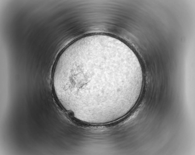 X0000093521129200711021041