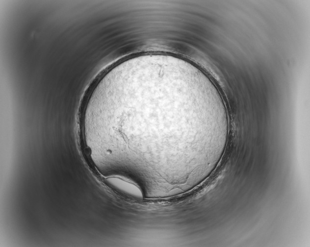 X0000093521133200711021041