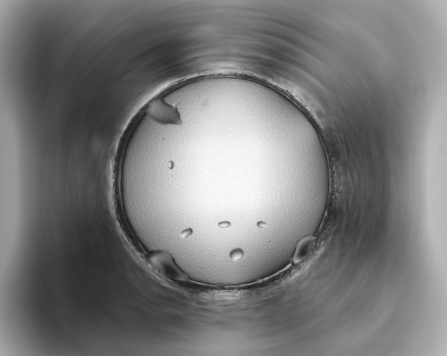 X0000093521134200711021041