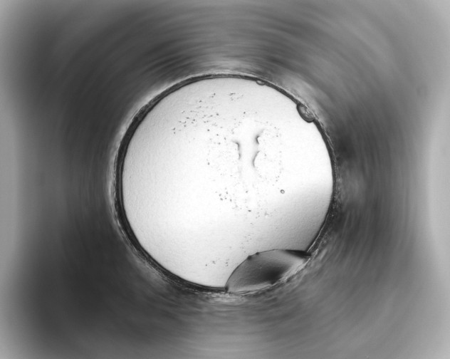 X0000093521136200711021041