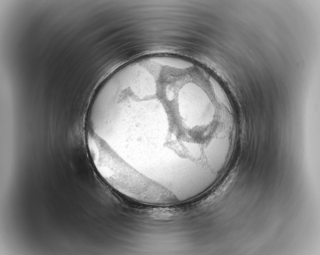 X0000093521137200711021041