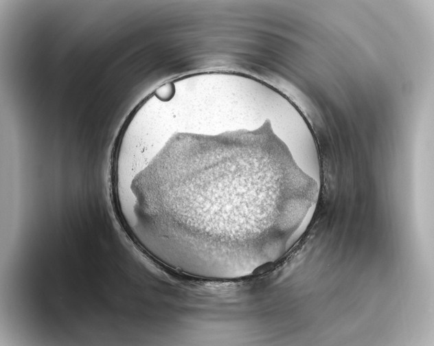 X0000093521142200711021041