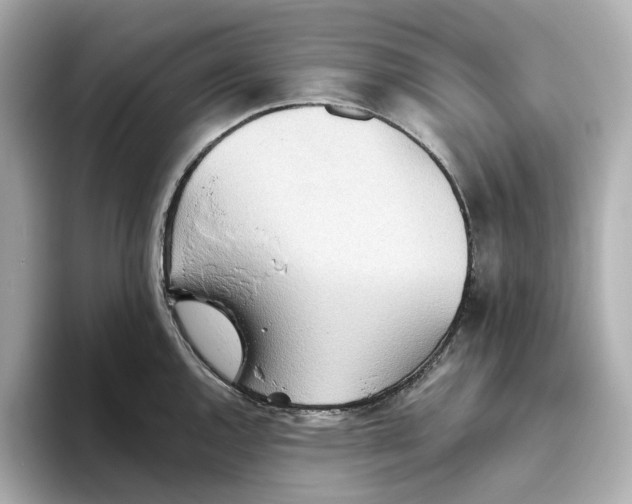 X0000093521144200711021041