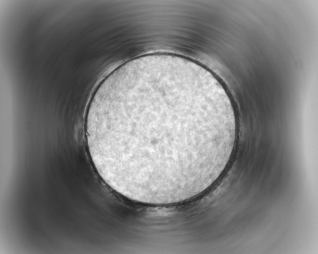 X0000093521145200711021041