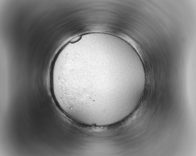 X0000093521147200711021041