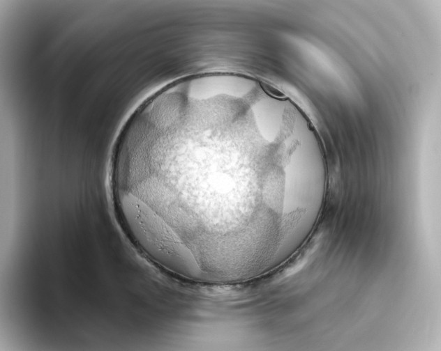 X0000093521149200711021041