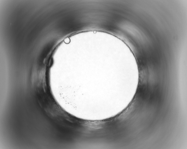 X0000093521150200711021041