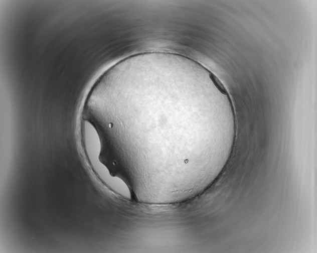 X0000093521152200711021041