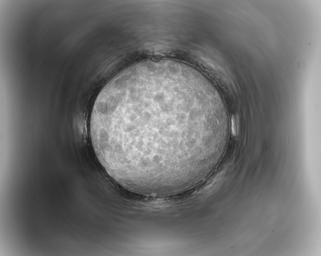 X0000093521155200711021041