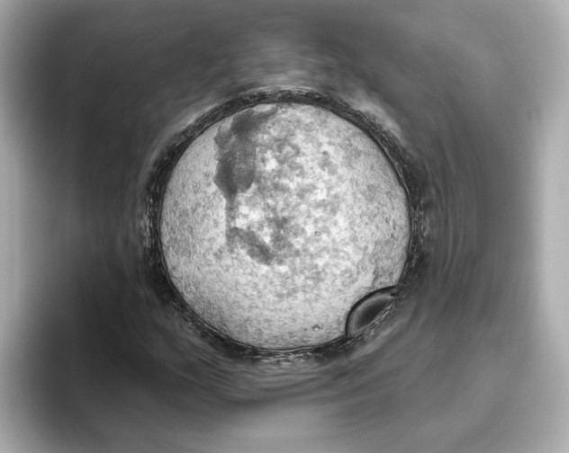 X0000093521159200711021041