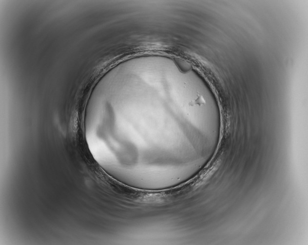 X0000093521161200711021041