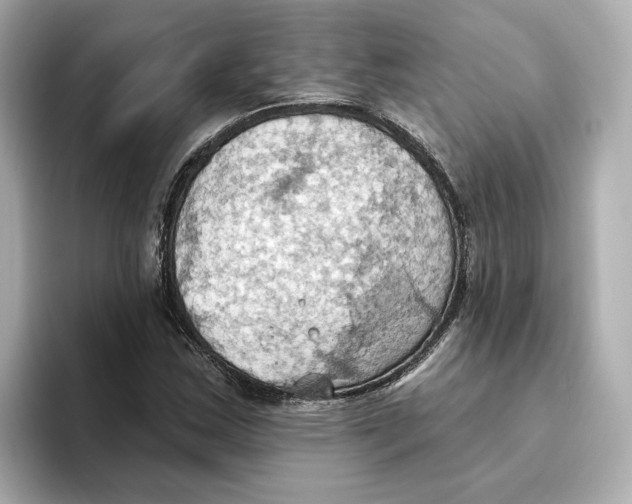 X0000093521163200711021041