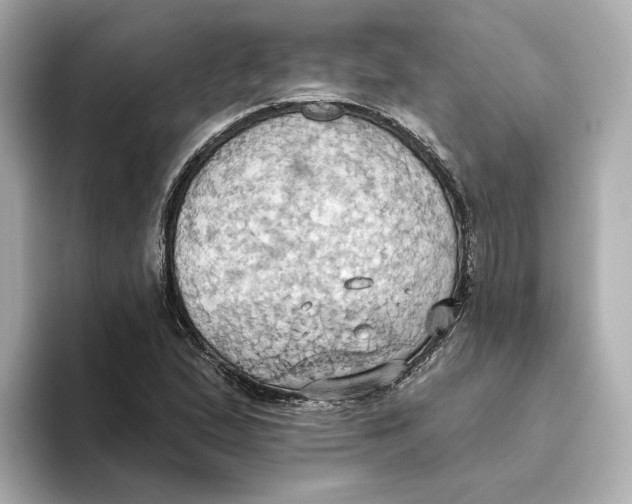 X0000093521167200711021041