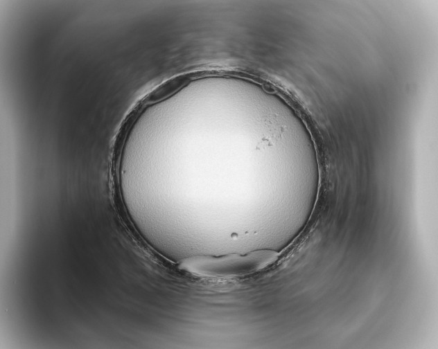 X0000093521168200711021041