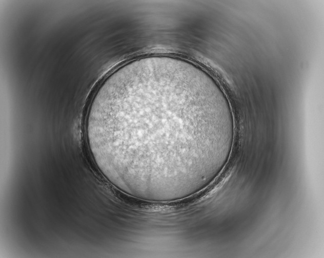 X0000093521170200711021041