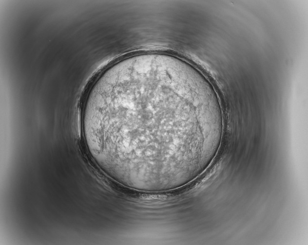 X0000093521171200711021041