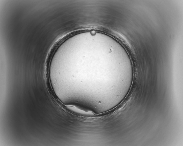 X0000093521172200711021041