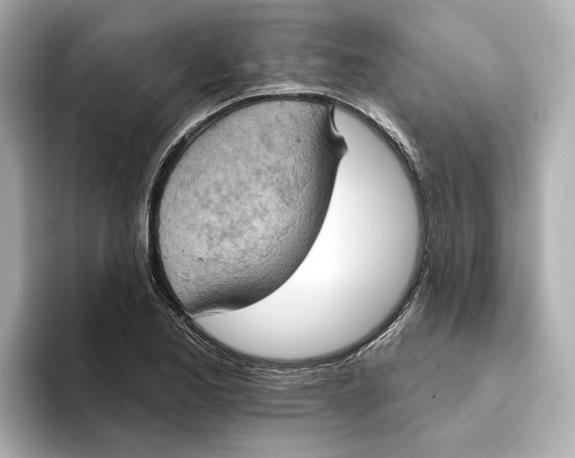 X0000093521173200711021041