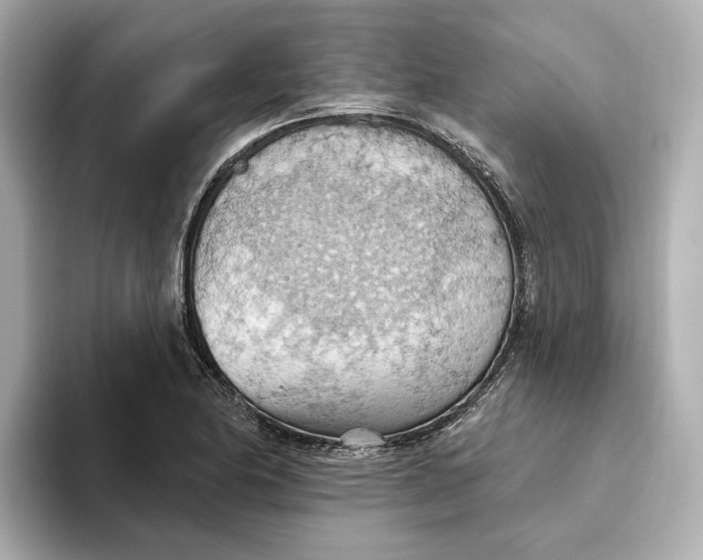 X0000093521174200711021041