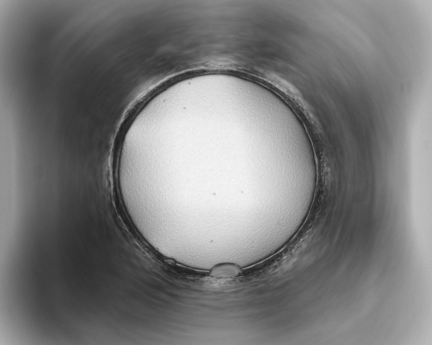 X0000093521176200711021041