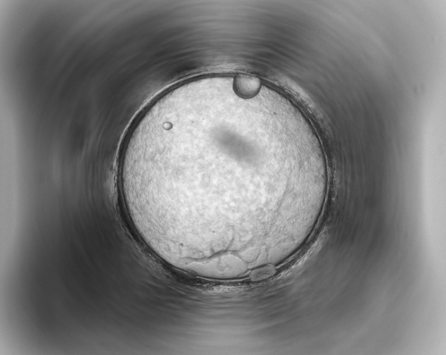 X0000093521178200711021040