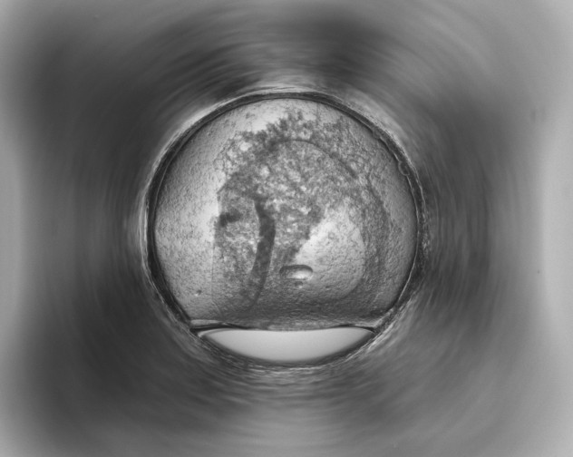 X0000093521179200711021040