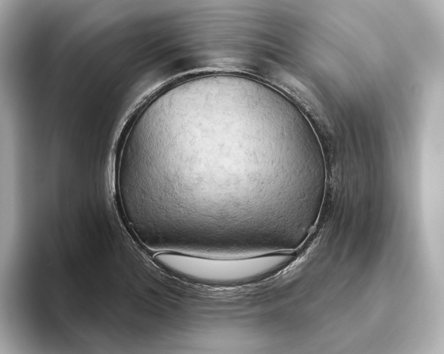 X0000093521180200711021040