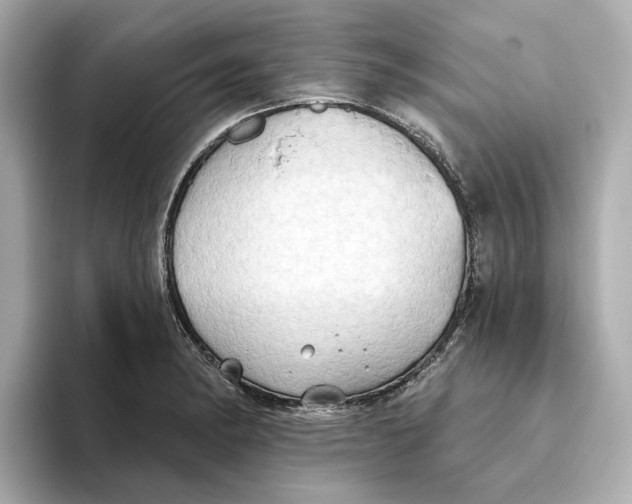 X0000093521182200711021040