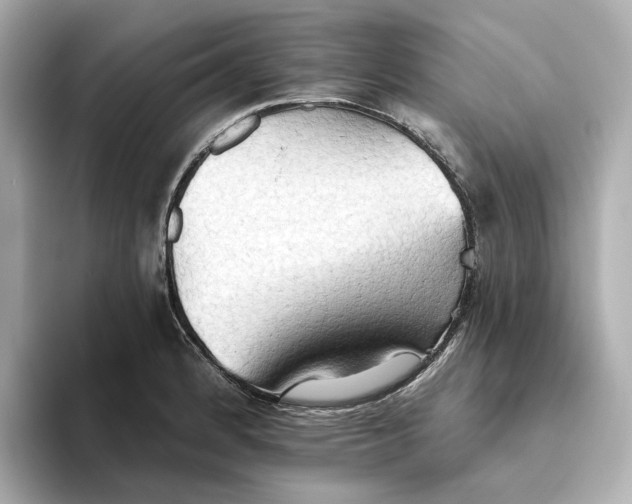 X0000093521184200711021040