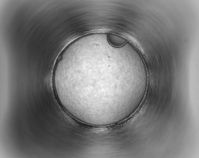 X0000093521186200711021040