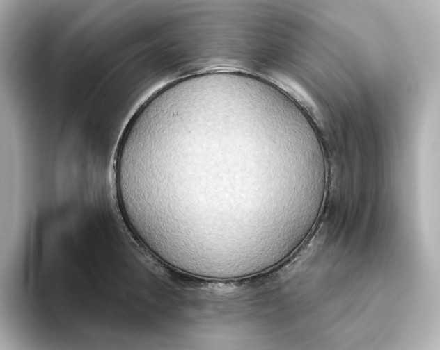 X0000093521190200711021040