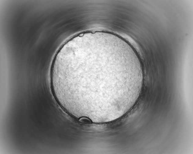 X0000093521191200711021040