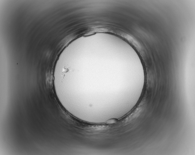 X0000093521193200711021040