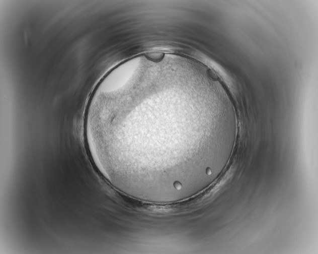 X0000093521194200711021040