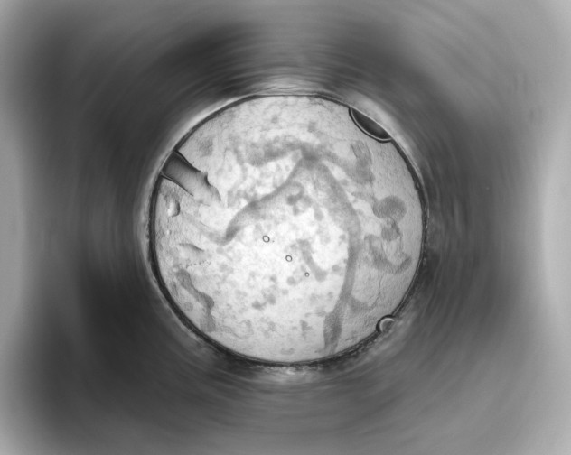 X0000093521195200711021040