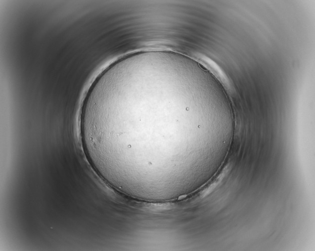 X0000093521196200711021040