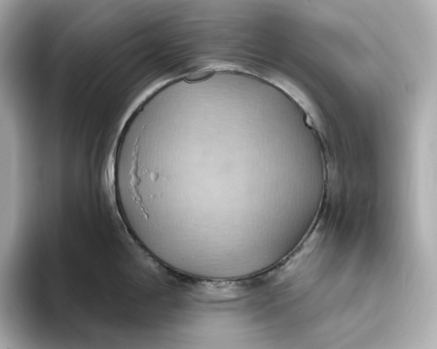 X0000093521198200711021040