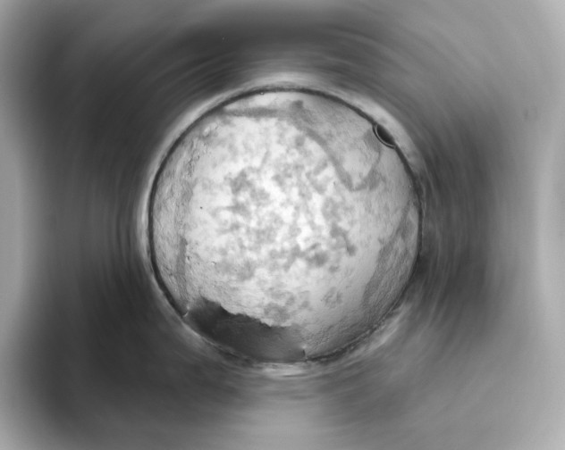 X0000093521199200711021040