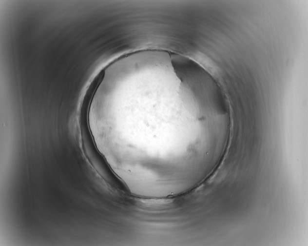 X0000093521200200711021040