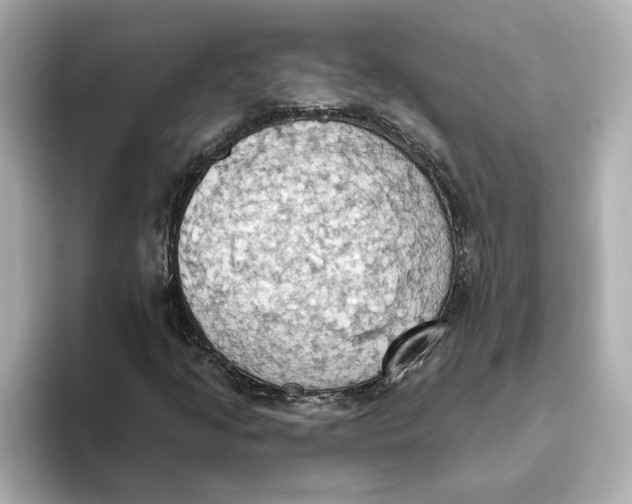 X0000093521205200711021040